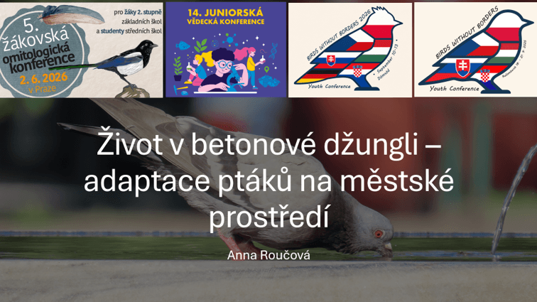Ilustrační foto přednášky Život v betonové džungli 