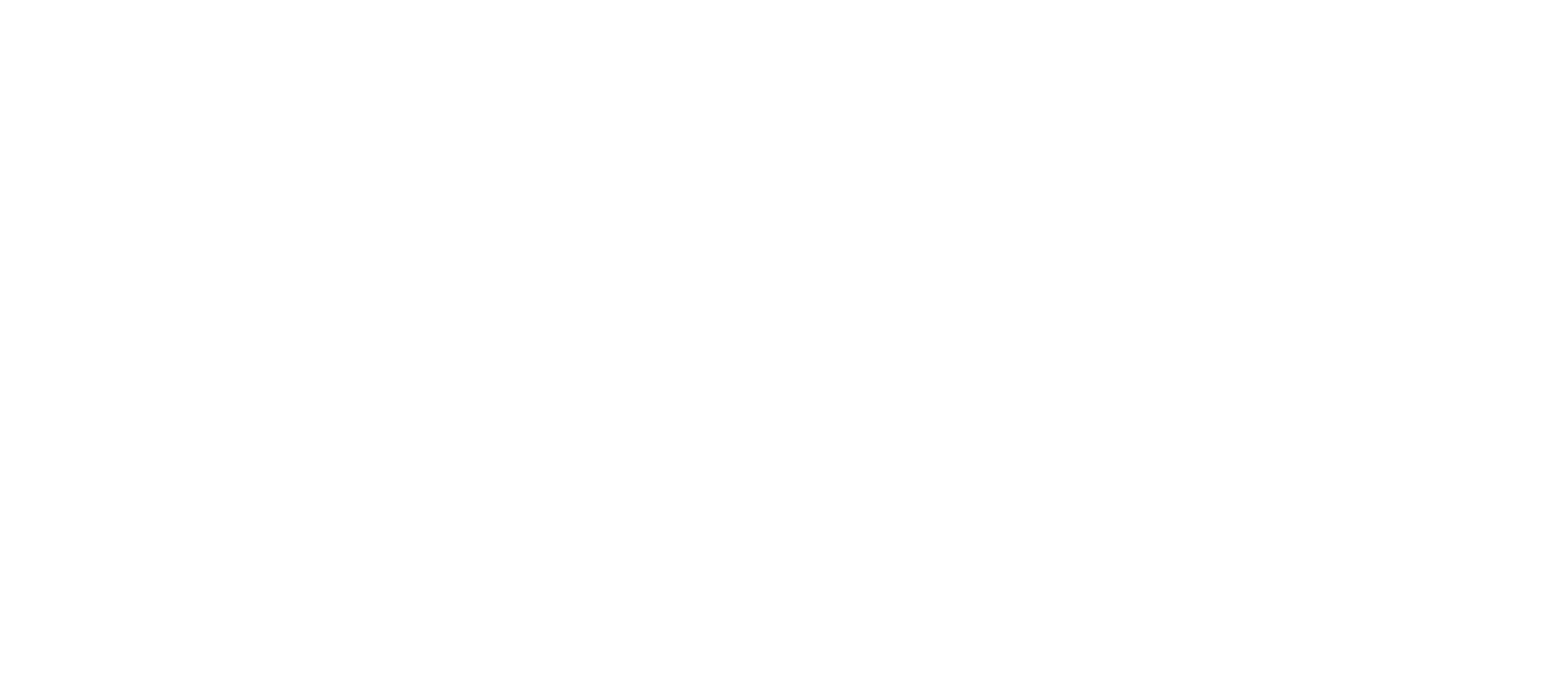 BrN9C logo